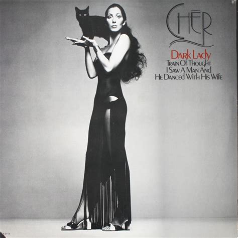 Cher Dark Lady Vinyl Records and CDs For Sale | MusicStack