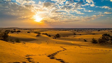 All You Need About Thar Desert - The Great Indian Desert - Rajasthan Blog