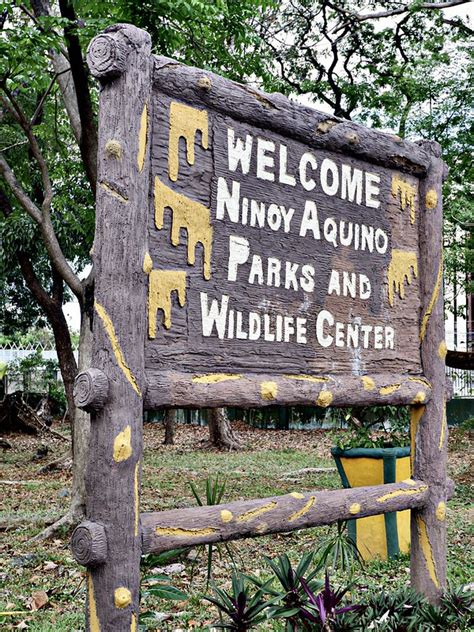 The “Nature Park in the City’s Heart”: the Ninoy Aquino Parks and ...