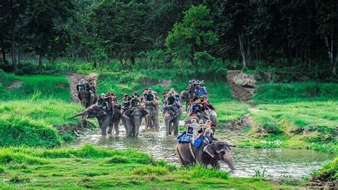 Wildlife in Nepal | Nepal Eco Adventure