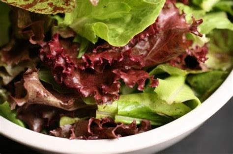 Red-Leaf Lettuce with Shallot Vinaigrette Recipe and Nutrition - Eat ...