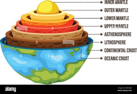 Diagram showing layers of the Earth lithosphere illustration Stock Vector Image & Art - Alamy