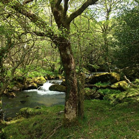 Bodmin Moor - Butterwell Farm Riverside Holiday Cottages and Fishing ...