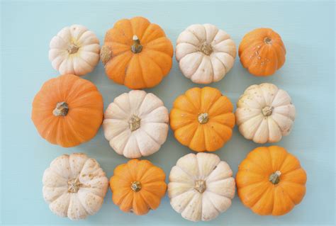 Teal Pumpkin Project [How To] | SunButter LLC - SunButter LLC