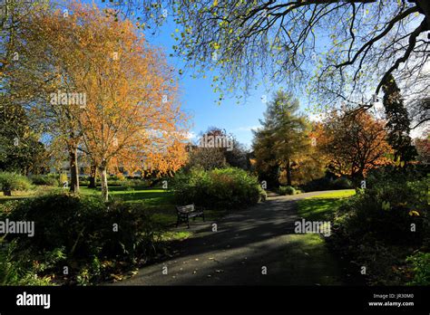 Autumn trees in Castle Gardens, Leicester City, Leicestershire, England ...