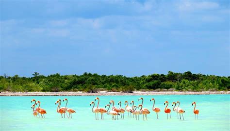 Isla Holbox, Yucatan Peninsula, Mexico | Travel, Beaches in the world ...