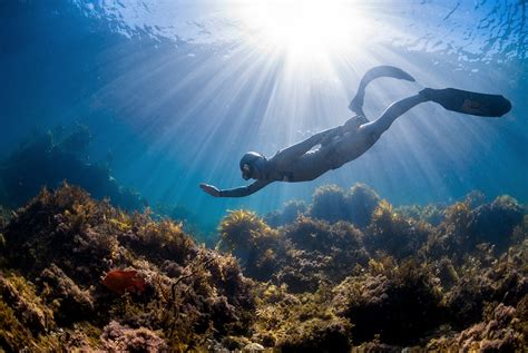 ‘What is Freediving?' and Other Frequently Asked Questions