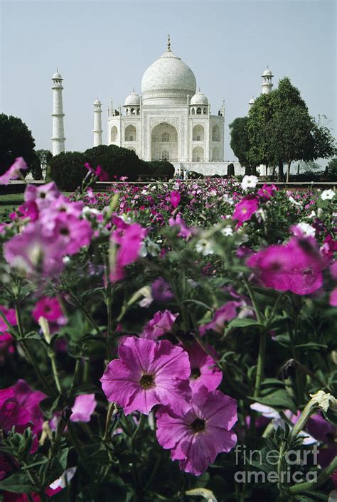 Taj Mahal Flowers Photograph by Michael Howell - Printscapes