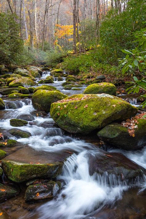 Roaring Fork Autumn Stream | Great Smoky Mountains National Park | Ed Fuhr Photography