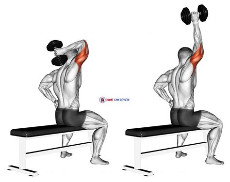 Dumbbell One Arm Triceps Extension (on bench) - Home Gym Review