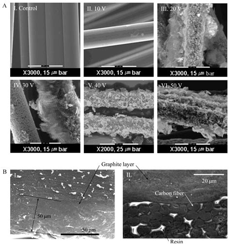 Polymers | Free Full-Text | Carbonaceous Materials Coated Carbon Fibre Reinforced Polymer Matrix ...