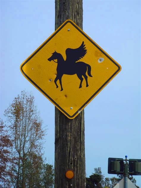 Pegasus Crossing | Pegasus, Novelty sign, Novelty