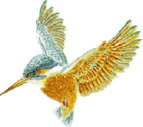 halcyon bird for my tattoo. | Kingfisher tattoo, Art inspiration, Kingfisher