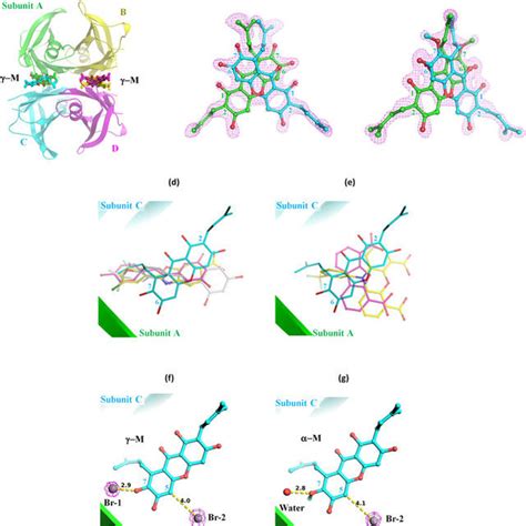 Chemical structures of the selected xanthone derivatives.: | Download ...