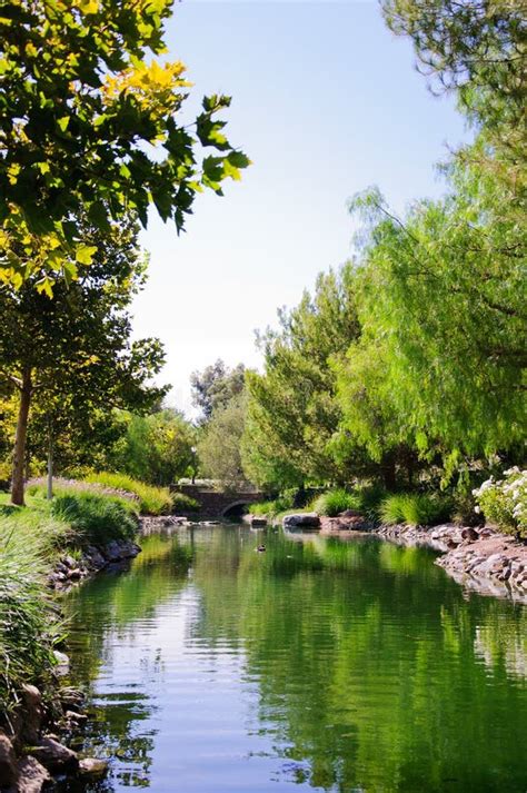 Beautiful Landscape Along Creek Stock Photo - Image of pacific, leaf: 117953358