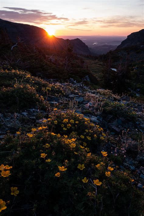 Sunrise on the Rocky Mountain | Free Photo - rawpixel