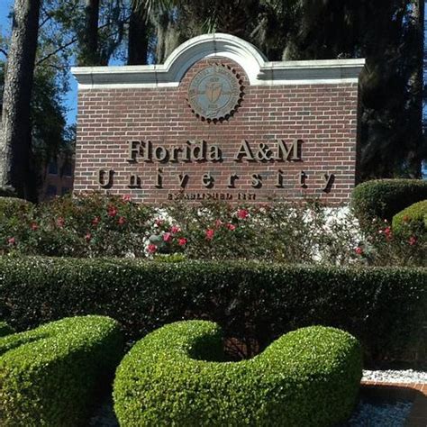 208 best images about Florida A & M University on Pinterest | Athletic ...