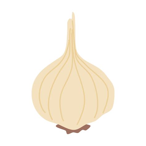 garlic vegetable vector 22653628 Vector Art at Vecteezy