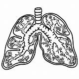 Lungs Floral Coloring Pages sketch template
