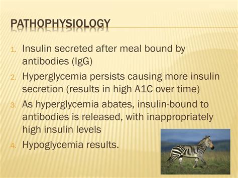 PPT - Evaluation of hypoglycemia PowerPoint Presentation, free download - ID:5773977