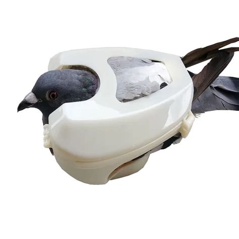 Aliexpress.com : Buy Pigeon Holder Pigeon Culture Management Equipment ...