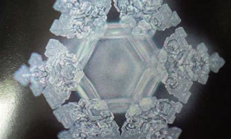 Dr. Masaru Emoto's Water Experiment | Motherhaus LLC