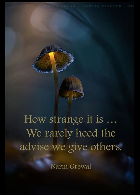 How Strange it Is - We Rarely Heed The Advise We Give to Others - Narin ...