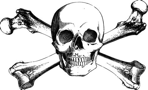 Download And Bones Drawing Skull Crossbones Free Download PNG HQ ...