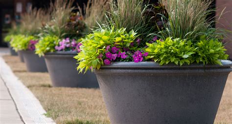 Large Commercial Concrete Planters | Wausau Tile