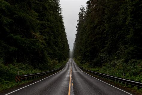 Dark Forest Road Wallpaper