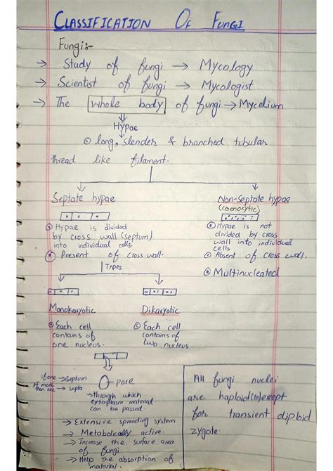 SOLUTION: Classification of fungi - Studypool