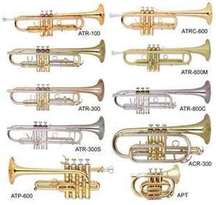 What is it - Terrific Trumpet