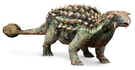 Ankylosaurus Facts For Kids | DK Find Out