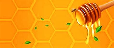 10 Home Remedies With Honey: The Sweet Honey Trap Of Healing!! » Home Remedy Hub