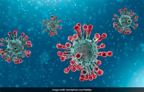 All You Need To Know About The Different Types Of Coronavirus