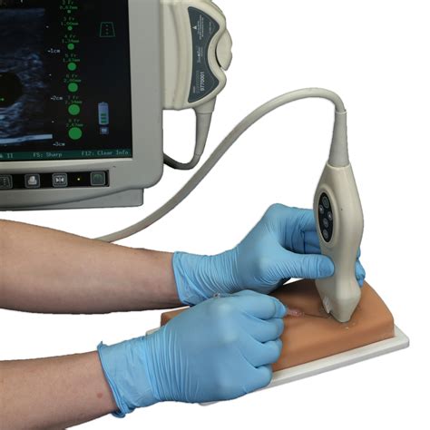 Vascular Access Ultrasound Phantom, Light - 1021446 - VATA - 705 - Ultrasound Trainers ...