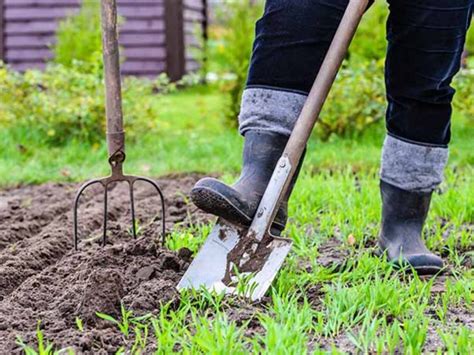 A Complete Spring Yard Cleanup Checklist