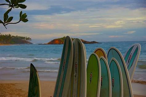 Surfing in Mirissa | Surf Points, Surf Schools, Best Time To Visit