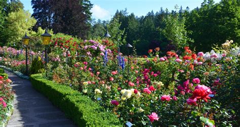 Butchart Gardens Victoria Bc Tickets | Fasci Garden