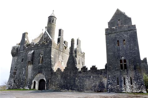 Local artist grabs the chance to dress famous Limerick castle for a new ...