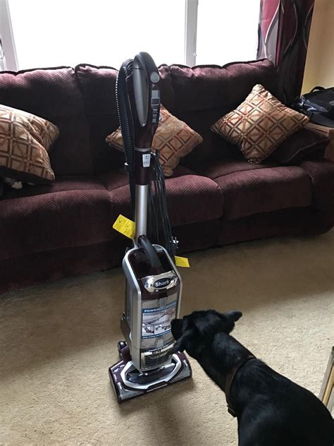 Shark Pet Hair Vacuum Cleaner | Pets Animals US