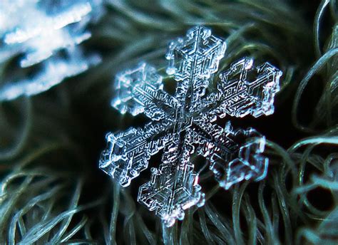 Snowflakes under a Microscope. | elephant journal