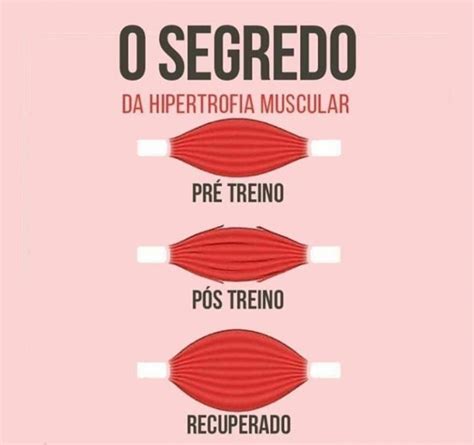 Hipertrofia muscular: aprenda como ganhar massa muscular da forma certa