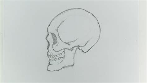 Easy Human Skull Drawing