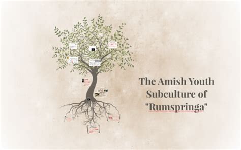 The Amish Youth Subculture of "Rumspringa" by Alyssa Zehr