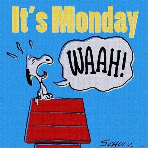 It's Monday WAAH! monday good morning monday quotes good morning quotes happy monday funny ...