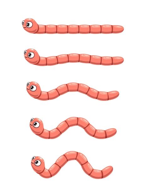 Premium Vector | Animated cartoon worm crawl earthworm animation