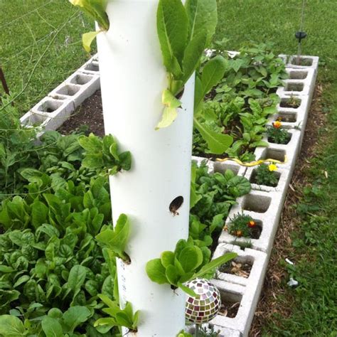 Vertical lettuce planter. 4-25-12. | Plants, Food garden, Planters