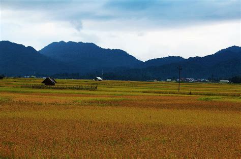 Major tourist attractions in Ziro - ChaloGhumane.com