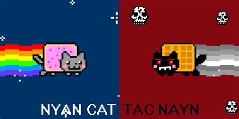 Tac Nayn & Nyan Cat Gif - Tac Nayn Photo (26039292) - Fanpop